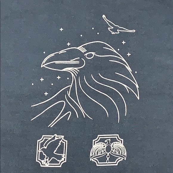 HARRY POTTER RAVENCLAW Pigment Hoodie! - Picture 4 of 8